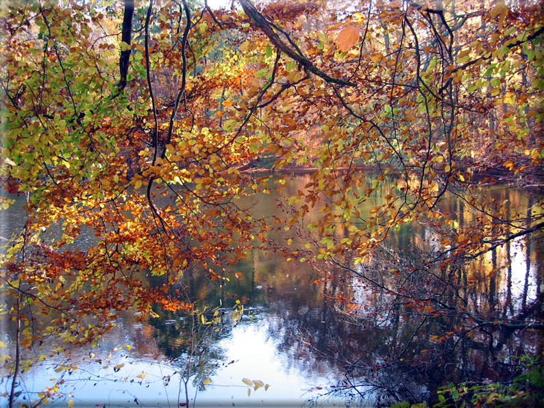 foto Parco Wilhelmshöhe in Autunno